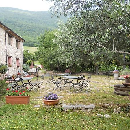 Villa Il Giardino Degli Ulivi Castelraimondo Exterior foto