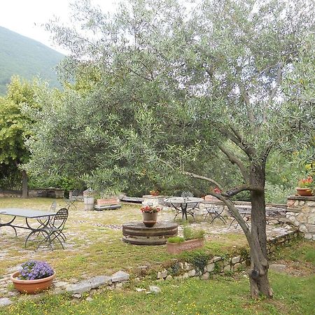 Villa Il Giardino Degli Ulivi Castelraimondo Exterior foto
